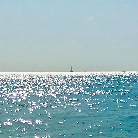Apartment Fleur D'azur 100 M De La Plage Villeneuve-Loubet