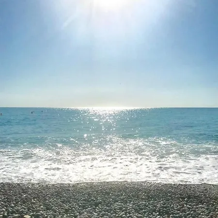 Fleur D'azur 100 M De La Plage